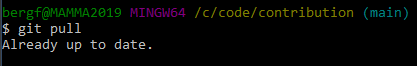 Git Bash pull -screenshot